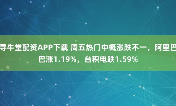 寻牛堂配资APP下载 周五热门中概涨跌不一，阿里巴巴涨1.19%，台积电跌1.59%