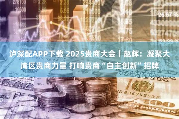 泸深配APP下载 2025贵商大会丨赵辉：凝聚大湾区贵商力量 打响贵商“自主创新”招牌