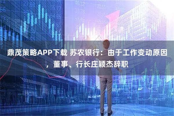鼎茂策略APP下载 苏农银行：由于工作变动原因，董事、行长庄颖杰辞职